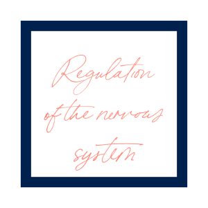 logo 500x500 px dimensions personnalisées dimensions personnalisées